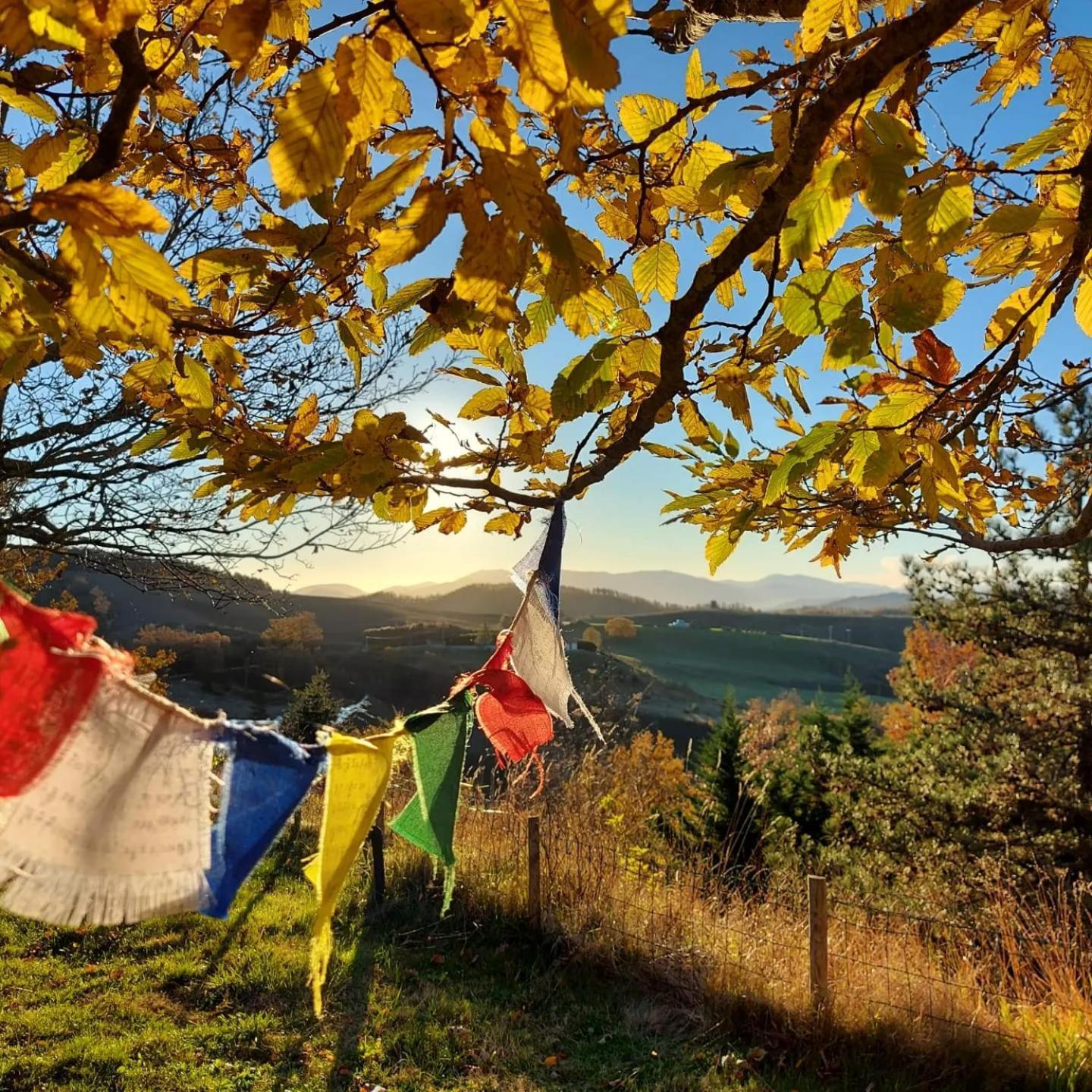 Bnb Bagno Di Bosco Gubbio Eksteriør bilde