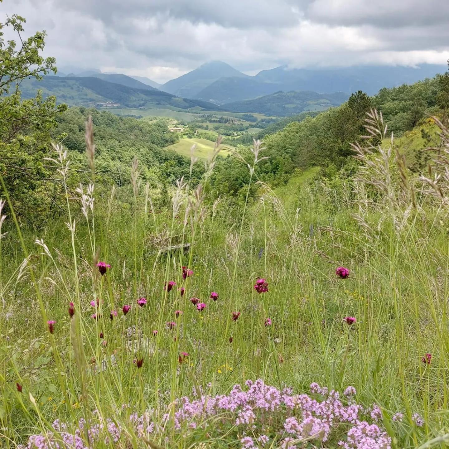 Bnb Bagno Di Bosco Gubbio Eksteriør bilde