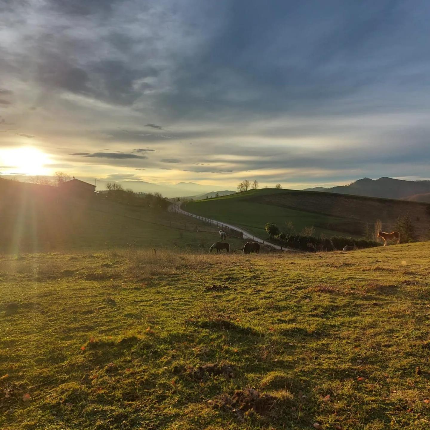 Bnb Bagno Di Bosco Gubbio Eksteriør bilde